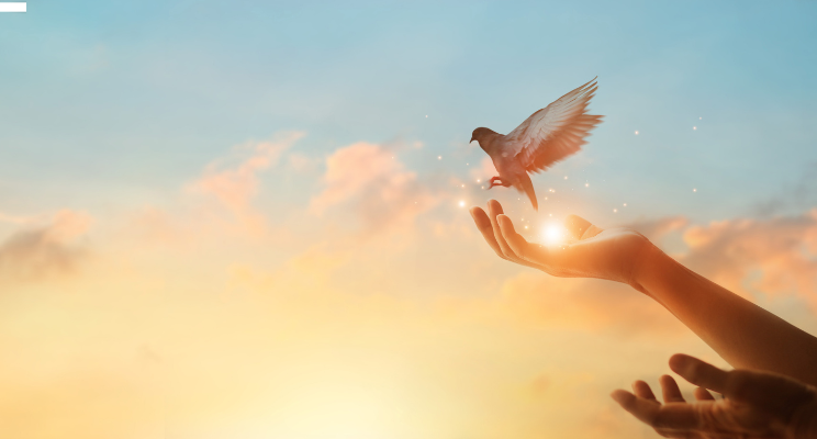 Break Free with Self-Forgiveness: A New Beginning